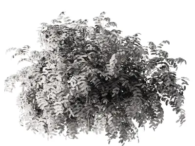 Summer and Burning Shrubbery Bush 3D Model 3D model