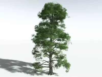 EVERYPlant Idiot Fruit Tree 3D model