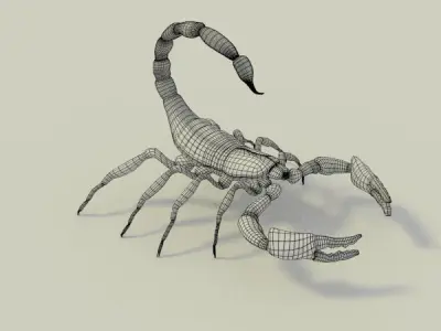 Black Scorpion 3D model