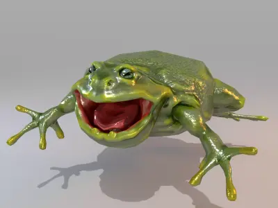 Anuran frog Low-poly 3D model
