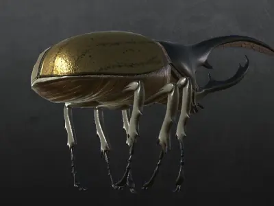 Hercules Beetle 3D model