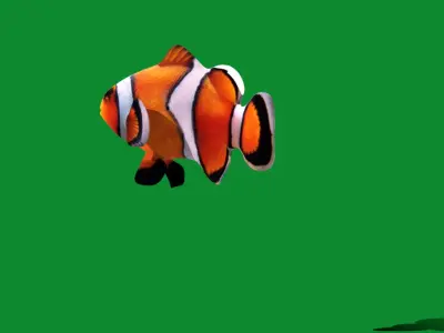 Clownfish Nemo Low-poly 3D model