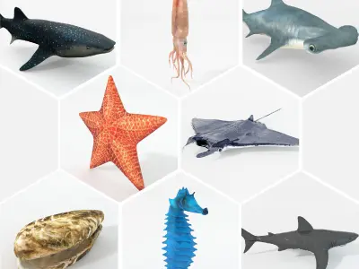 16 Marine Animals Pack - Colletion Low-poly 3D model