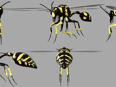 Potter or Mason Wasp 3D model
