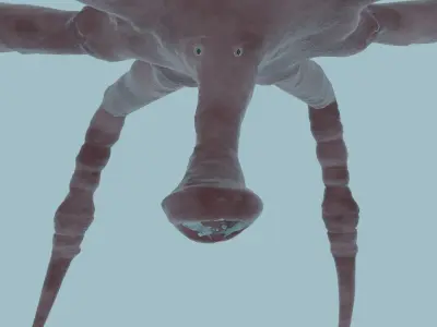 dangerous strange spider 3d model fully detailed and rigged Free 3D model