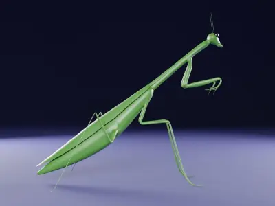 Mantis low poly 3D model for 3D print Low-poly 3D model