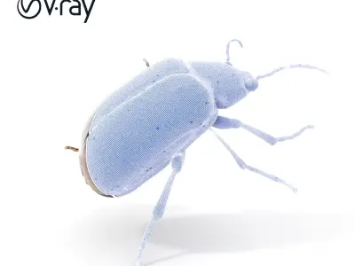 Realistic Beetle Model Pack for Rendering and Gaming Low-poly 3D model