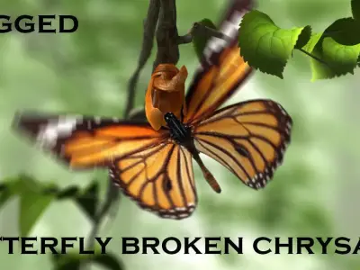 butterfly broken chrysalis 3D model