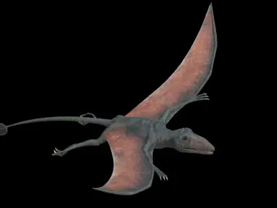 4K Eudimorphodon Low-poly 3D model