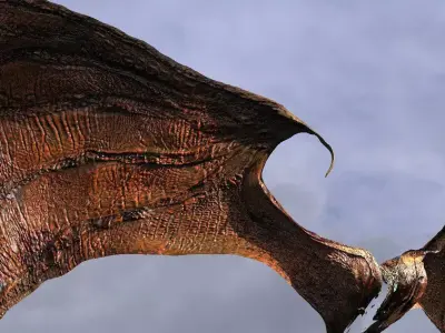 Ancient Jurassic Dragon Wings 2 wider 3D model
