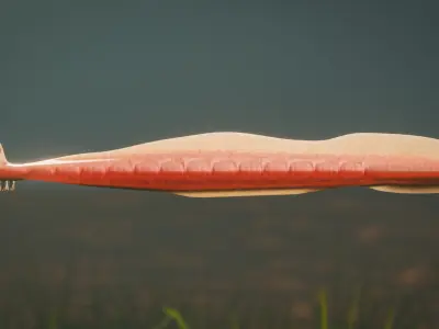 Pikaia Low-poly 3D model