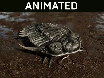 Trilobite 04 - KAYSEROPS Low-poly 3D model