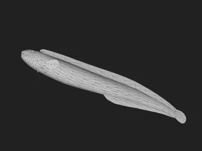 Gunnel Low-poly 3D model