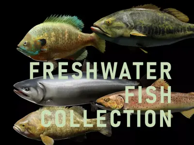 PBR Freshwater Fish Collection Low-poly 3D model