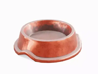 Metal Dog Bowl 01 Low-poly 3D model