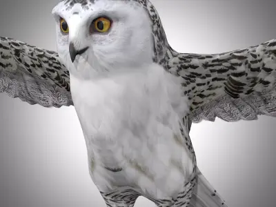  Snowy White Owl Low-poly 3D model