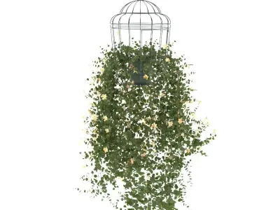 Plant flower in bird cage 3 set 3D model