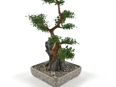 Bonsai- indoor decoration Free low-poly 3D model