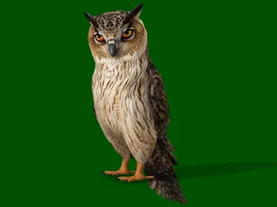 OWL RIGGED ANIMATED 7 Low-poly 3D model