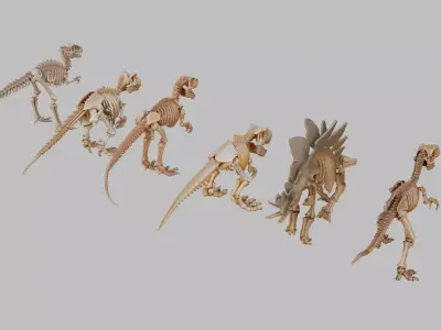 Dinosaurs Skeletons Collection Low-poly 3D model