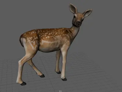 BABY DEER Low-poly 3D model