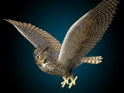 Great Horned Owl - Flight 3D model