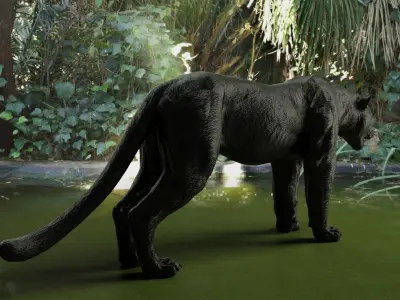Black Panther Rigged Low-poly 3D model