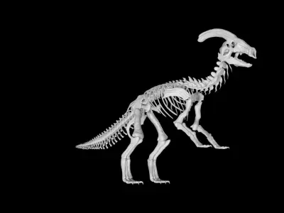 Parasaurolophus skeleton Low-poly 3D model