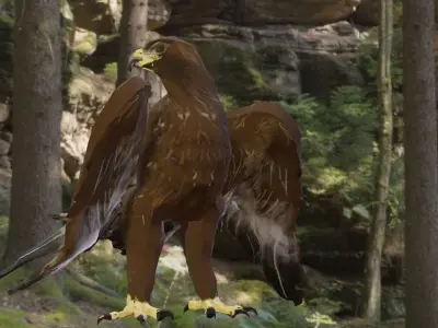 Golden Eagle Low Polly Low-poly 3D model