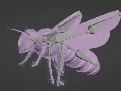 Honeybee 3D model