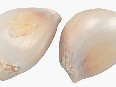 Garlic Clove Pile v2 3D model