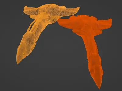 Ilu avatar the way of water 3D model