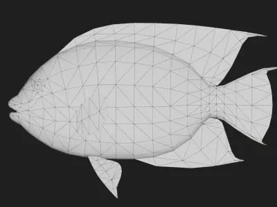 Rockbeauty Low-poly 3D model