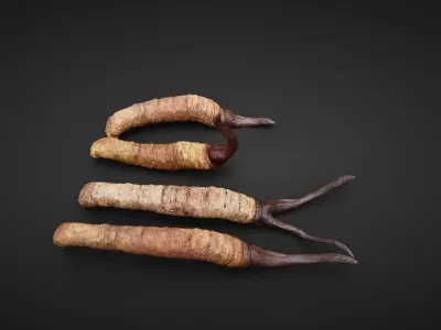 insect Low-poly 3D model