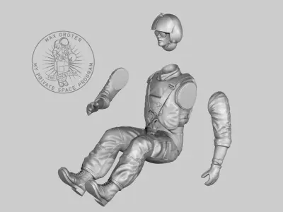 Helicopter Pilot 3D print model