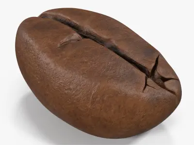 Coffee Bean Roasted 2 v 2 3D model