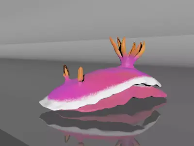 Sea Slug - Nudibranch 3D model