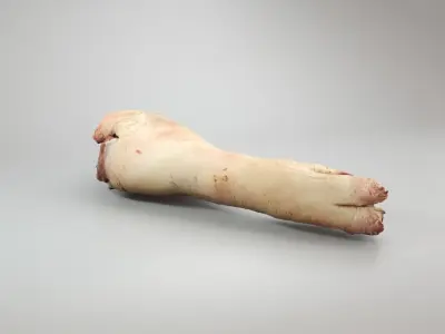 Raw Pig Foot - 3D Scan Low-poly 3D model