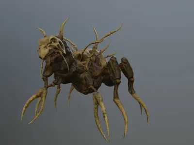 Monster Bone Beetle Low-poly 3D model