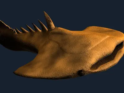 Drepanaspis Low-poly 3D model
