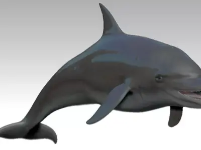 Rigged dolphin Low-poly 3D model