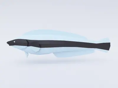 False cleanerfish low poly 3d model  Low-poly 3D model