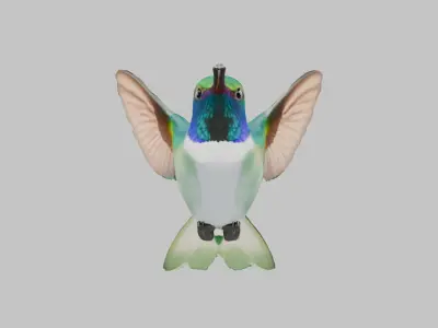 3D Model of a Hummingbird Low-poly 3D model