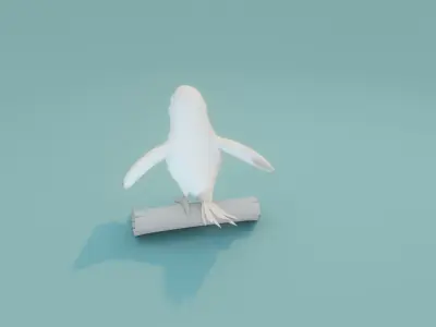 Cartoon Ara Parrot Animated and Rigged Base Mesh 3D Model Low-poly 3D model