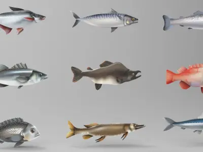 Fish Sea Collection 2 Low-poly 3D model