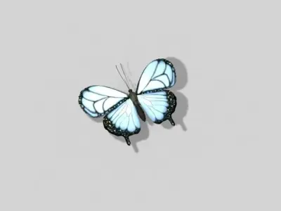 Butterfly 3D model 3D model