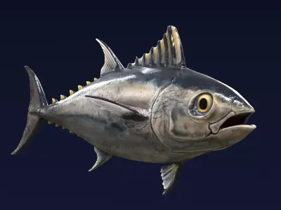Bluefin Tuna Fish low poly Low-poly 3D model