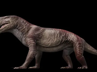 Inostrancevia Low-poly 3D model