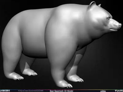 Bear Basemesh 3D Model Low-poly 3D model