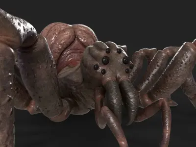 Spider Rigged and Animated Low-poly 3D model